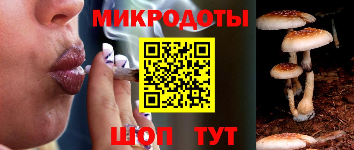 Галлюциногенные грибы ЛСД  Галлюциногенные грибы ЛСД  Вход с VPN  Лесной 